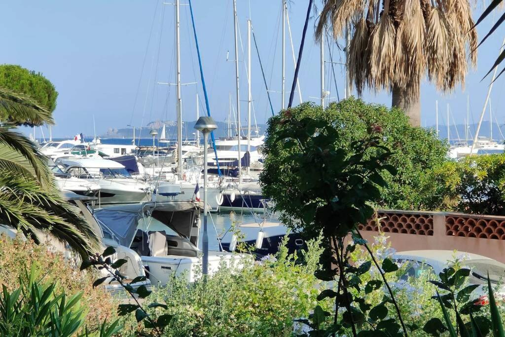 Suites Jm - Le Temps D'Une Escale Hyères Eksteriør bilde